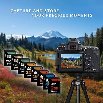 Nikon D5000（三脚、SDカード等セット） D5000 ニコン Nikon レンズキット SDカード(16GB)付き : カメラ